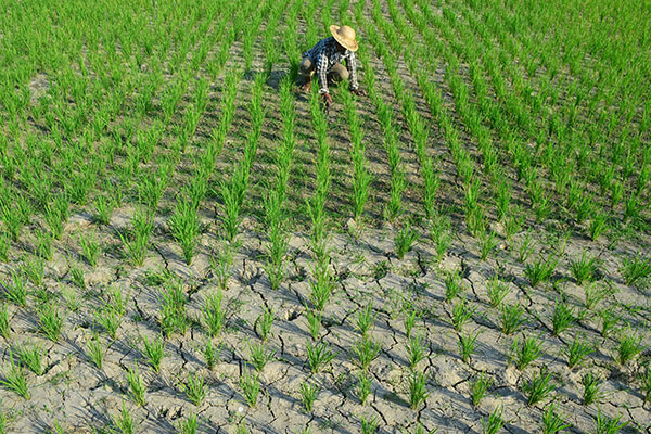 Yuk! Mengenal Siklus Air di Musim Kemarau 